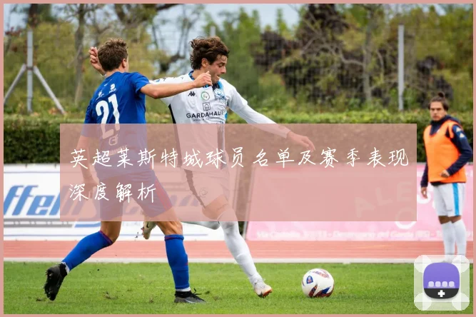 英超莱斯特城球员名单及赛季表现深度解析