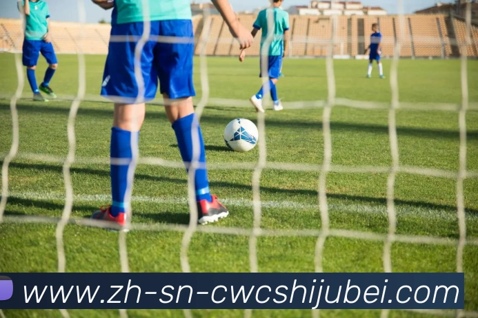 世界杯买球APP 封面图